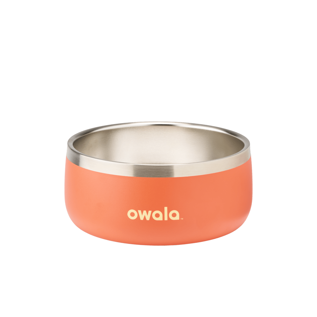Pet Bowl (S3BDL)
