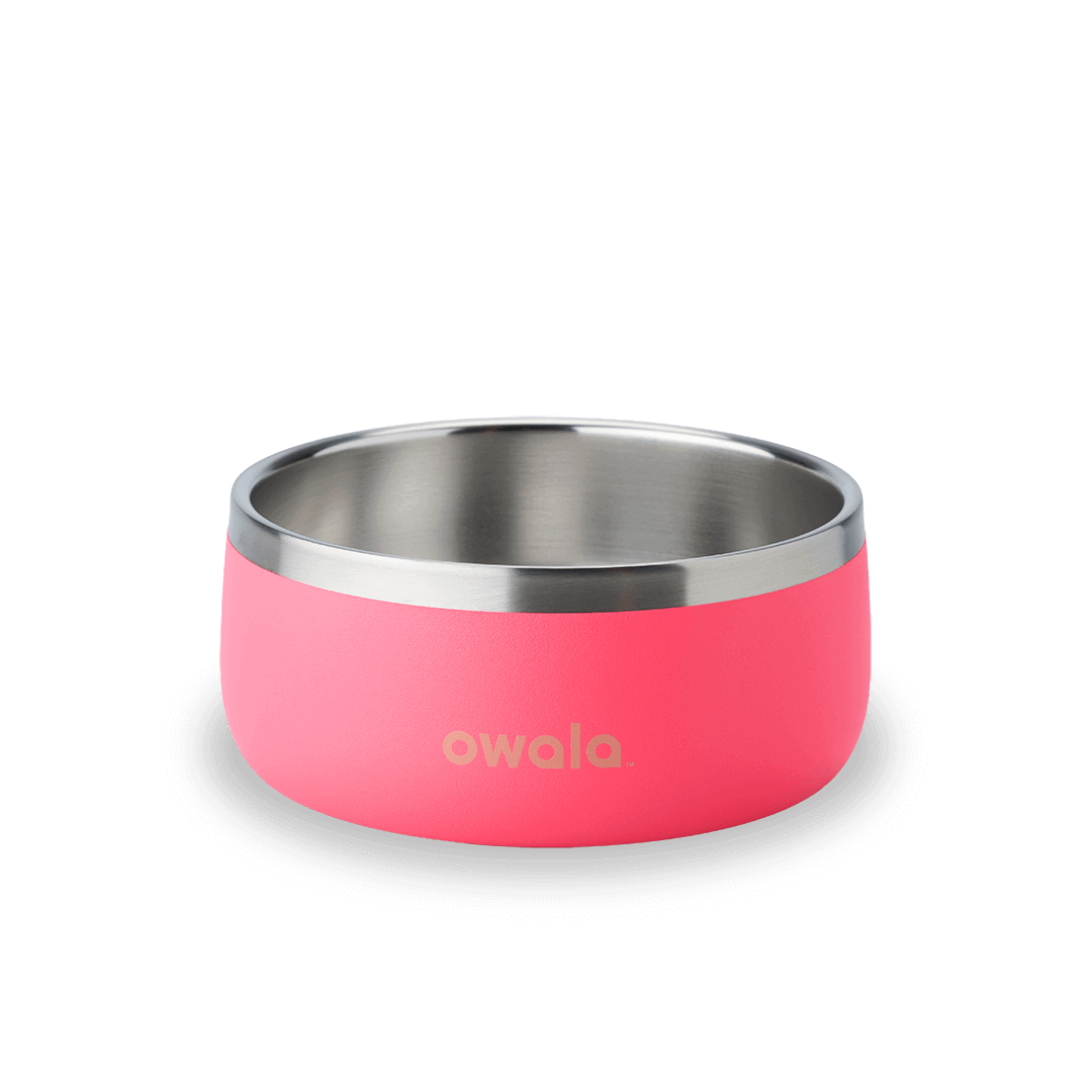 Pet Bowl (S3BDL)